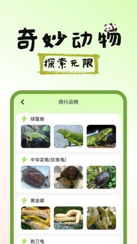 图图宠物百科 V1.0.1截图2