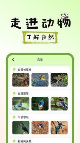 图图宠物百科 V1.0.1截图4