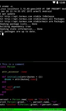 Termux V0.129截图3