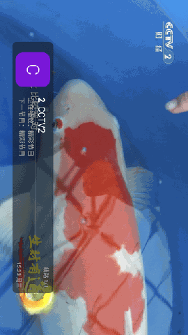 神仙直播 V1.1截图3