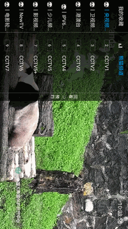 秋天tv V2.0.8截图1