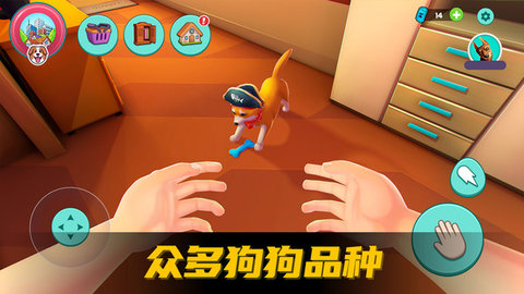 爱心宠物王国 V189.1.0截图5