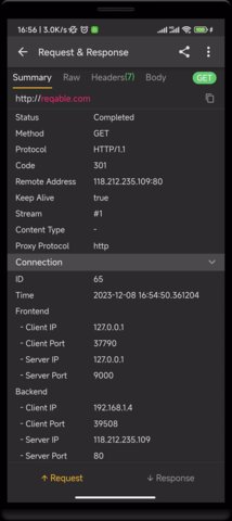 reqable V3.3.6截图1
