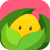 美柚孕期 V4.3.3