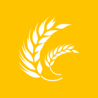 麦穗小说 V1.0.2